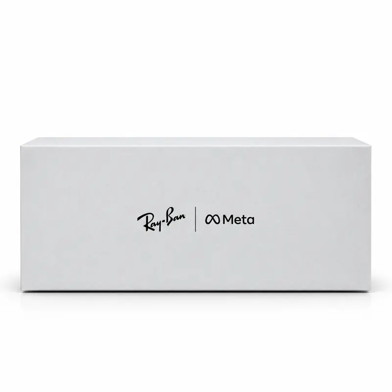 SMART GLASSES RAYBAN RW4006 MATTE BLACK/CLEAR (LUX)